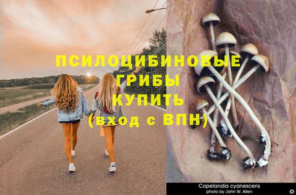 2c-b Навашино
