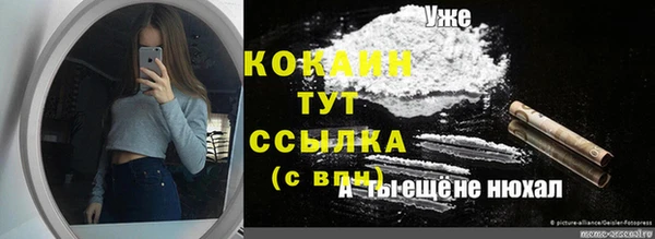 бошки Надым