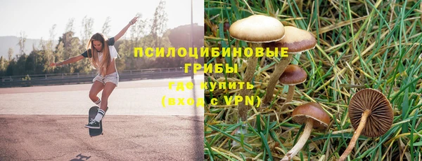 дмт Абдулино