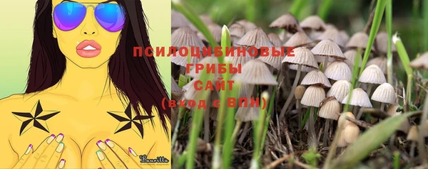 бошки Надым