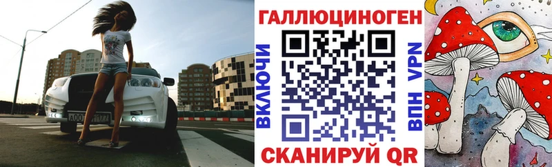 Галлюциногенные грибы Psilocybine cubensis  Новая Усмань 